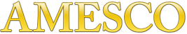 A green background with gold letters that say " es ".