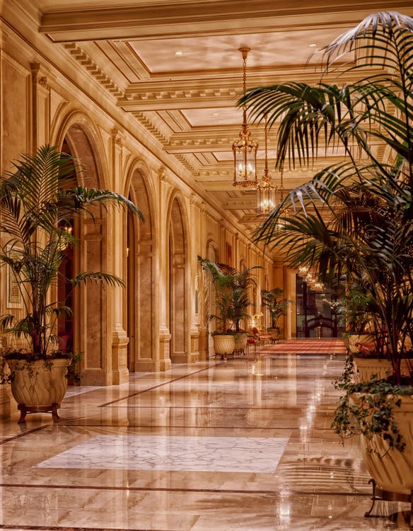 A large hallway with many plants in it